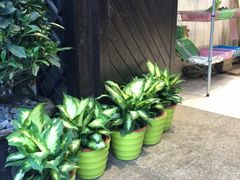 农家乐-旺山景区