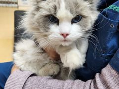 -瑞派天宁宠物医院·猫科·异宠中心