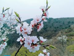 -白羊峪长城旅游区