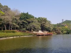 -深圳国际园林花卉博览园