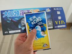 -芜湖新华联大白鲸海洋公园