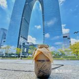 果然没骗我，和海报一模一样！ 