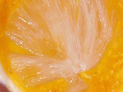 -蟹榭(静安寺晶品商场店)