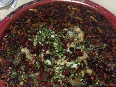 来凤鱼-东吴霸王兔(松青路店)