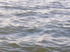 -丁香湖公园