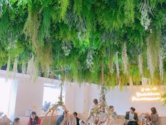 -Husky Go! 哈士奇体验馆·宠物咖啡厅狗咖