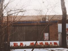 -1982农场