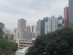 -香港大学