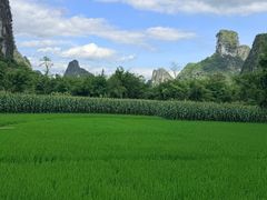 -明仕田园