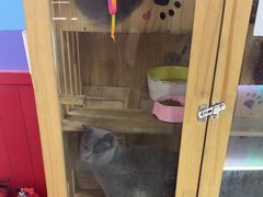 -203密室体验馆·逃脱·聚会·亲子(工体店)