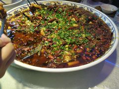 -新概念来凤鱼(璧山店)