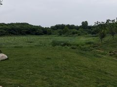 -盘龙城国家考古遗址公园