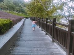 -三江森林温泉度假区