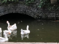 -苏州文庙(姑苏区)