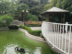 -园林格兰云天大酒店-太极名厨中餐厅