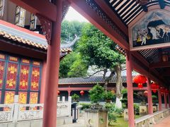 -碧江金楼