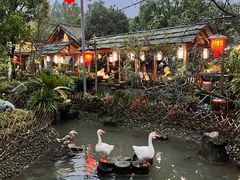 -青城甲(青城山店)