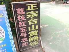 -荔枝红五号农庄