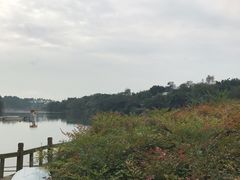 景点-三圣花乡旅游区