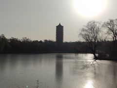 -博雅塔