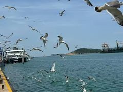 -海驴岛(荣成市)