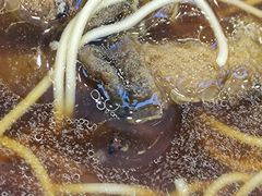 -朱洪元苏式面馆(绿宝广场店)