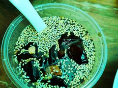 -树厨贵州菜(花果园购物中心店)