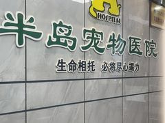 -半岛宠物医院24小时(西派城店)