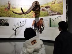-中国西峡恐龙遗迹园