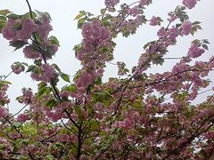 -万达广场(松江店)