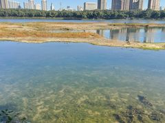 -长白岛森林公园