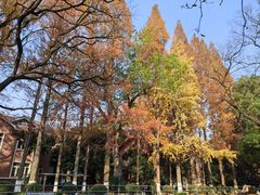 -苏州大学(天赐庄校区)