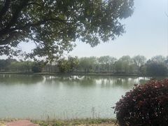 -上膳源有机农场