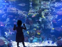 -左海海底世界