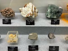 -甘肃地质博物馆