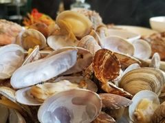 蒜蓉粉丝蒸扇贝-港畔赶海蒸汽海鲜烧烤自助(仙螺岛店)
