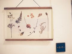 -MAISON门前杂货店
