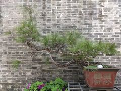 -梁园