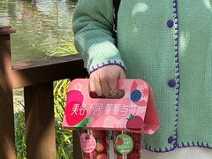 -晓港公园