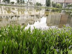 -花果园湿地公园
