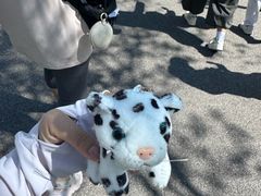 -青藏高原野生动物园