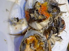 -半岛听涛蒸汽海鲜自助(K11店)