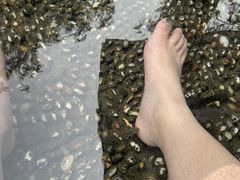 -融汇温泉