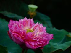 -烈士陵园(地铁站)