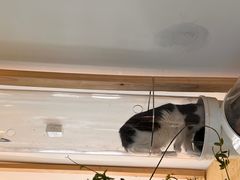 -萤火虫咖啡(后海店)