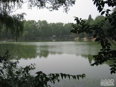 未命名的湖畔-雅泰来(解放路店)
