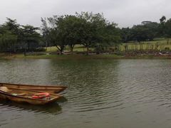 -东莞植物园