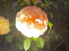 -山菌美食苑(振兴路店)