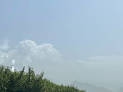 -都江堰石锅鱼