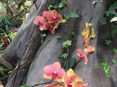 -北京植物园-展览温室